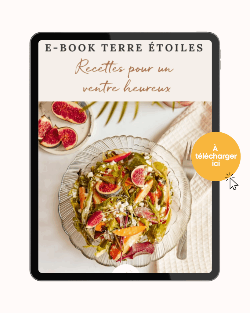 e-book de recettes